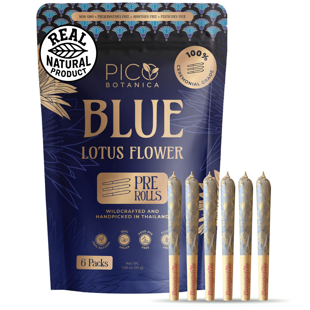 Blue Lotus Flower Pre Rolls Order Online– PicoBotanica Blue Lotus Flower Pre Rolls Order Online– PicoBotanica