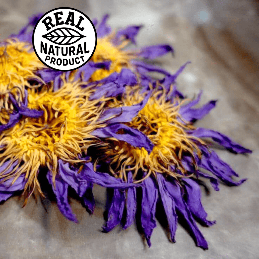 bulk whole dried blue lotus flowers wholesale ceremonial grade violet petals golden stamen