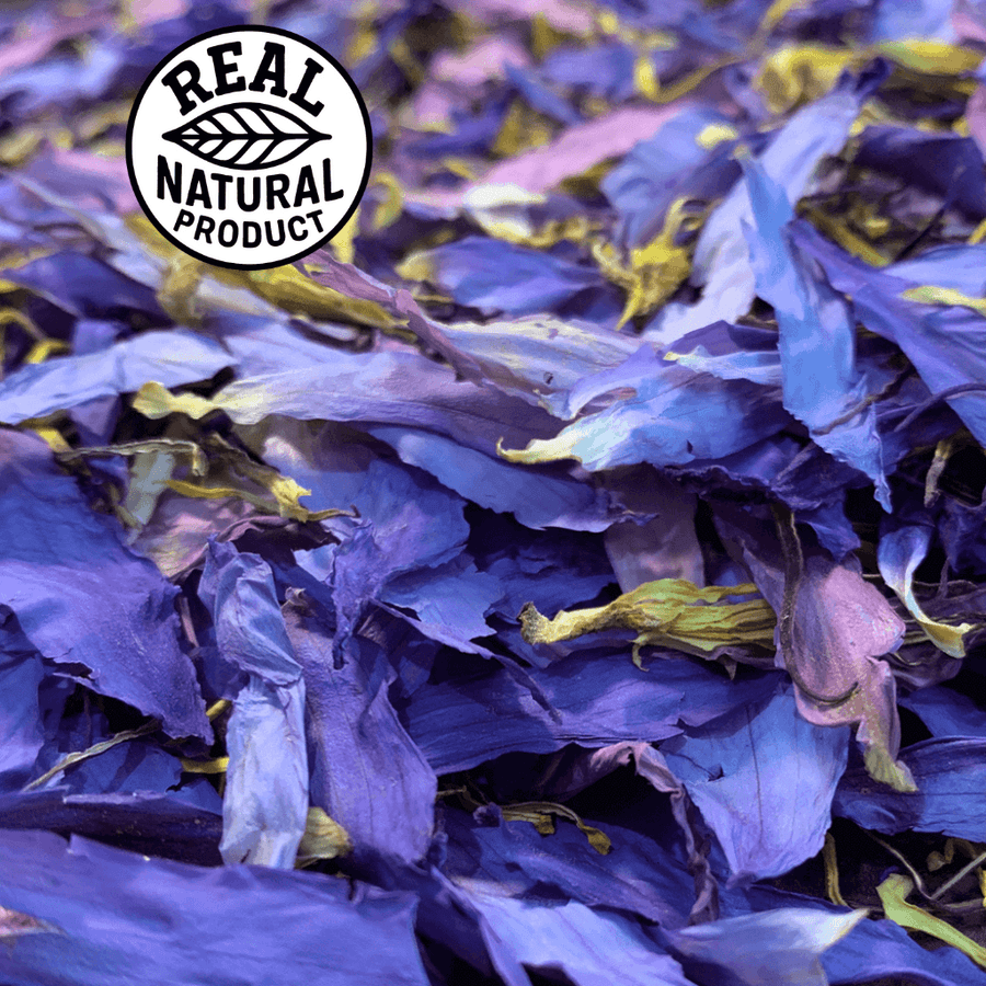 bulk organic blue lotus petals and stamen wholesale cut and sift close up