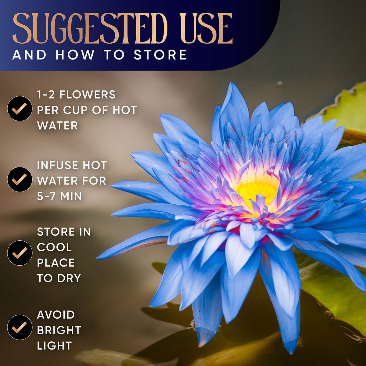 ORGANIC BLUE LOTUS FLOWER WHOLE 30g