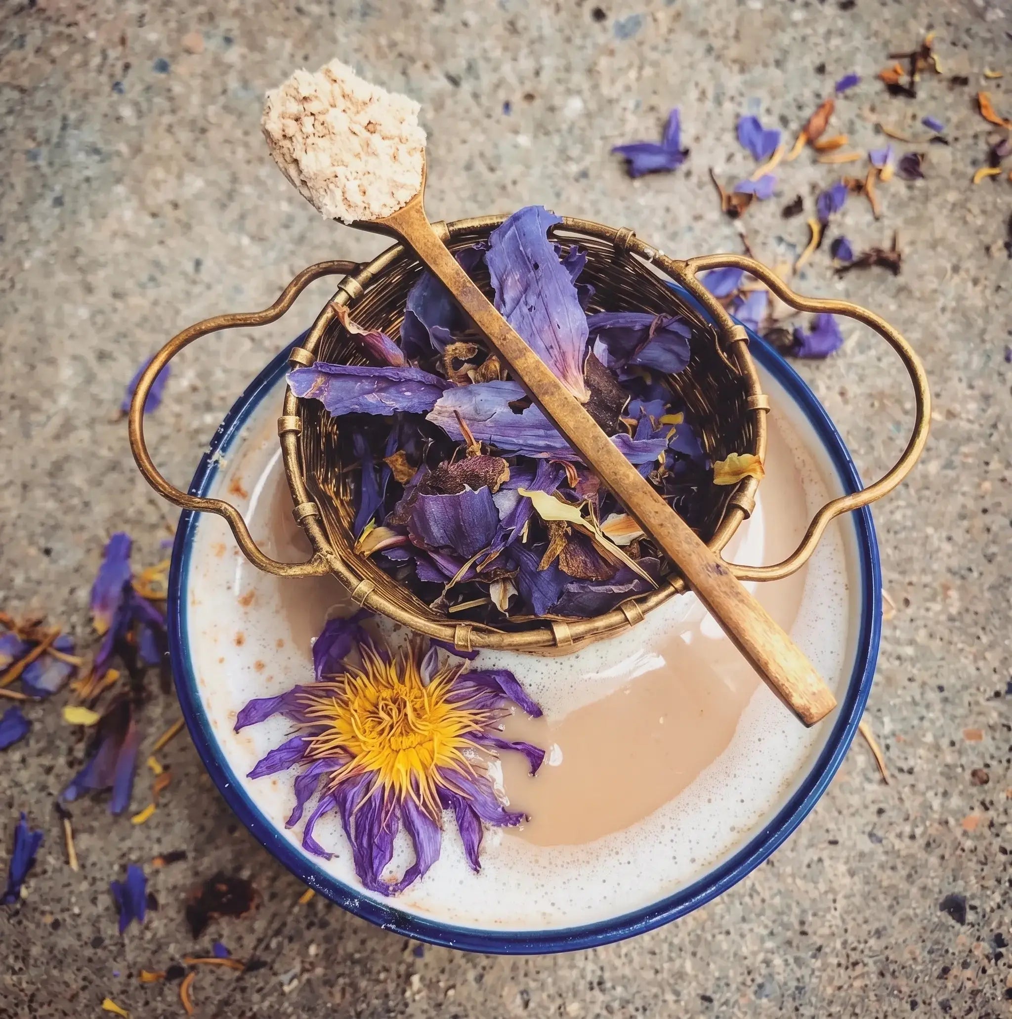 A freshly brewed cup of Picobotanica blue lotus tea featuring a floating whole dried blue lotus flower. A vintage brass strainer filled with loose dried blue lotus petals and a wooden spoon holding botanical powder rest across a blue-rimmed mug, with loose purple petals scattered on a rustic stone surface