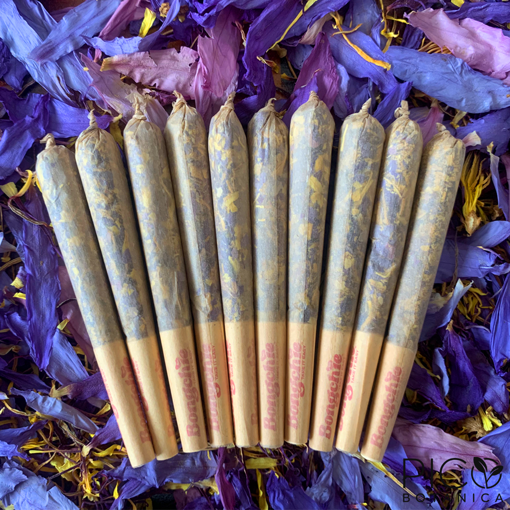 BLUE LOTUS FLOWER PRE ROLLS PicoBotanica BLUE LOTUS FLOWER PRE ROLLS PicoBotanica