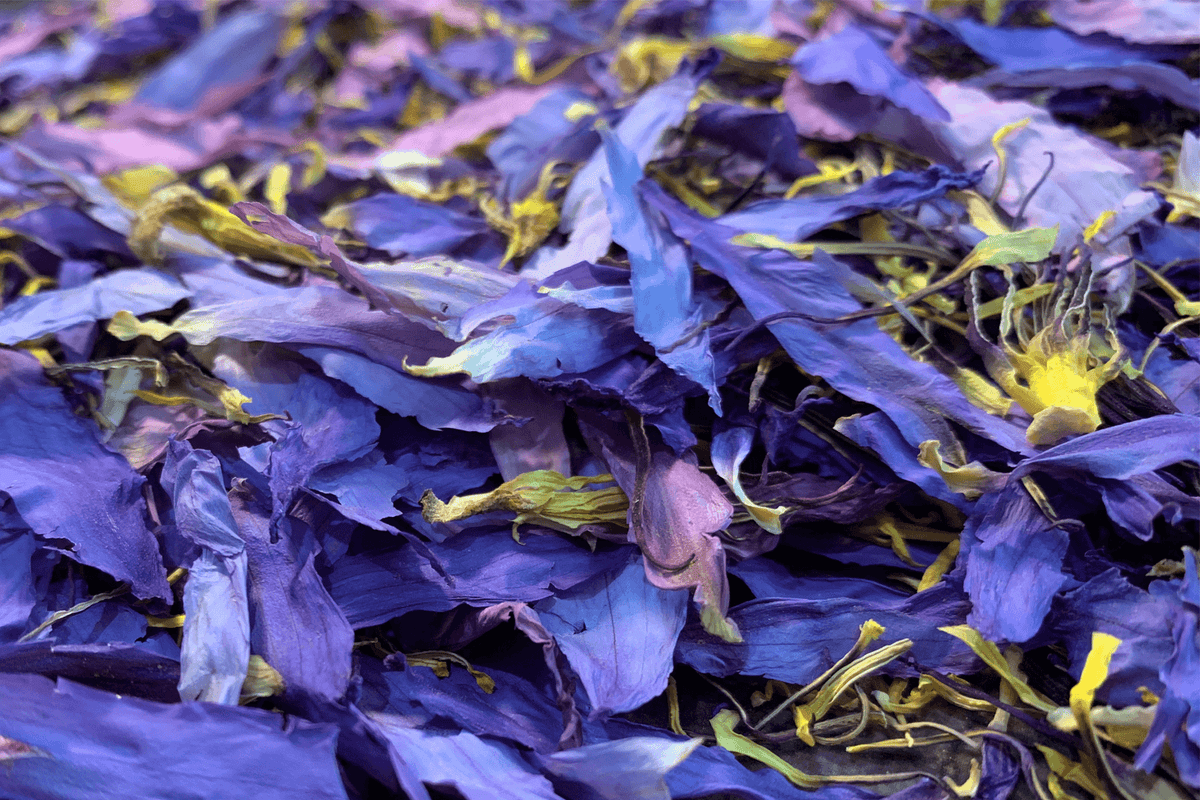 BLUE LOTUS FLOWER PETAL & STAMEN