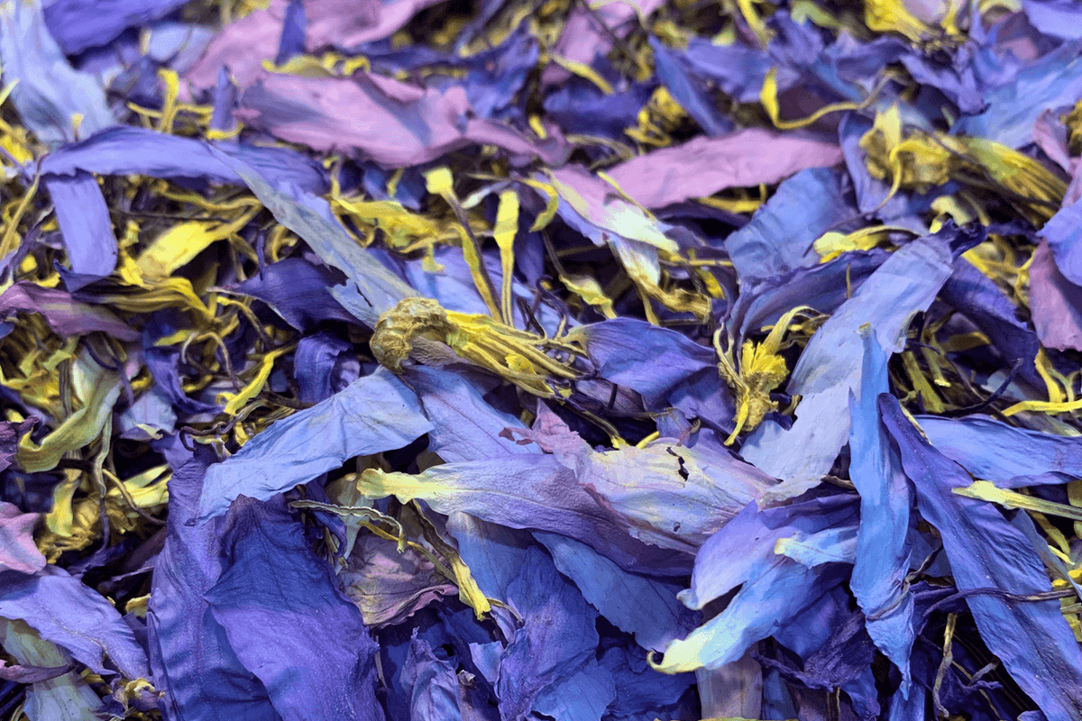 BLUE LOTUS FLOWER PETALS & STAMEN