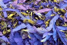 Load image into Gallery viewer, BLUE LOTUS FLOWER PETALS &amp; STAMEN
