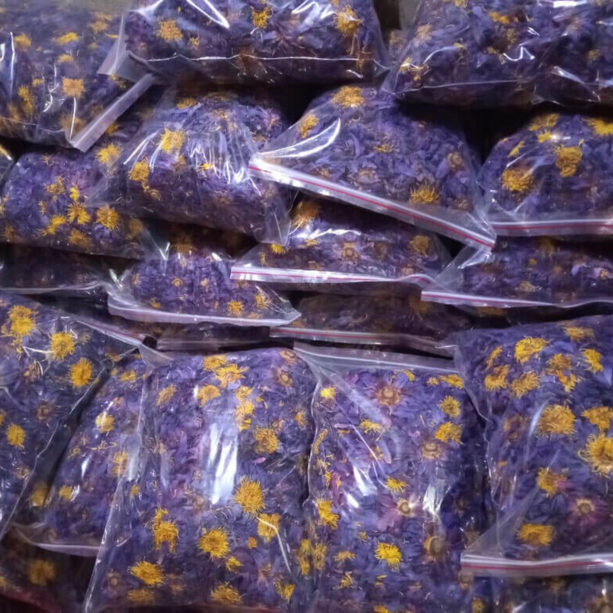 ORGANIC BLUE LOTUS FLOWER WHOLESALE (WHOLE FLOWER)