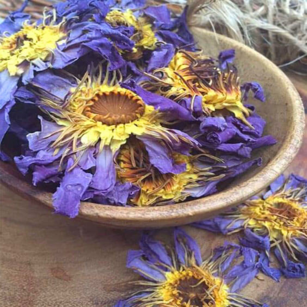 ORGANIC BLUE LOTUS FLOWER WHOLESALE (WHOLE FLOWER)