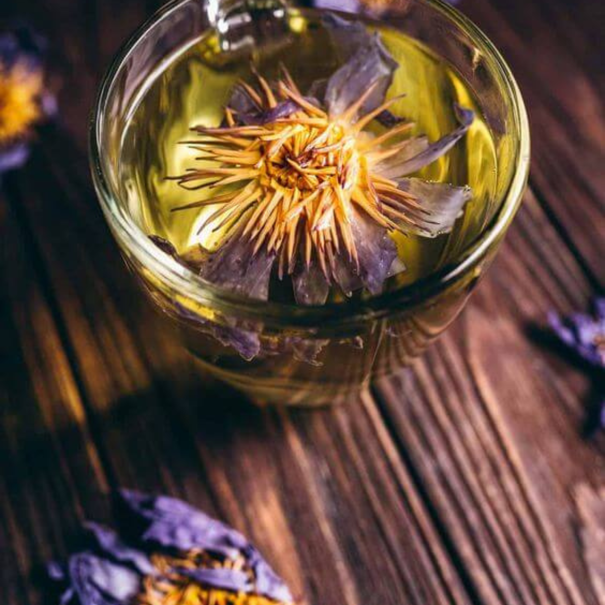 ORGANIC BLUE LOTUS FLOWER WHOLESALE (WHOLE FLOWER)
