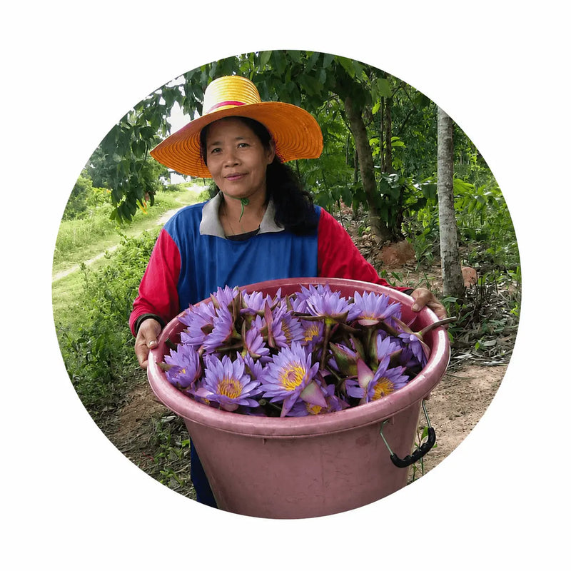 Ethical Family Farm